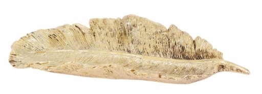 Platou Feather, 25x10x3 cm, poliston, auriu