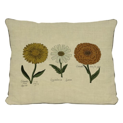 Pernă cu motive florale Surdic Flowers, 50 x 35 cm, bej
